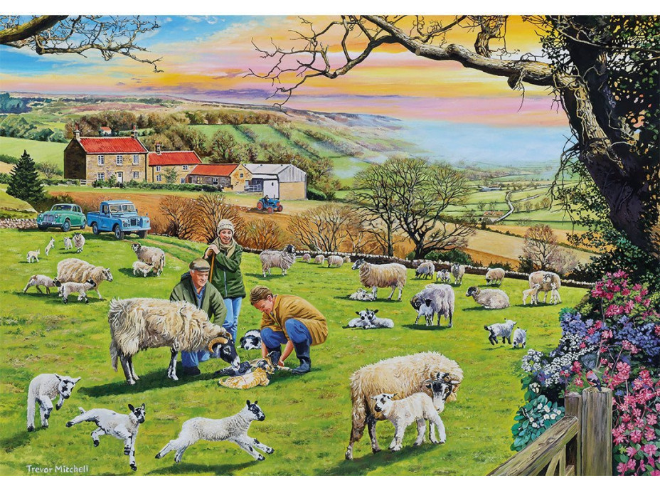 GIBSONS Puzzle Zavolejte veterináře 4x500 dílků
