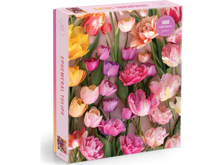 GALISON Puzzle Pomíjívé tulipány 1000 dílků