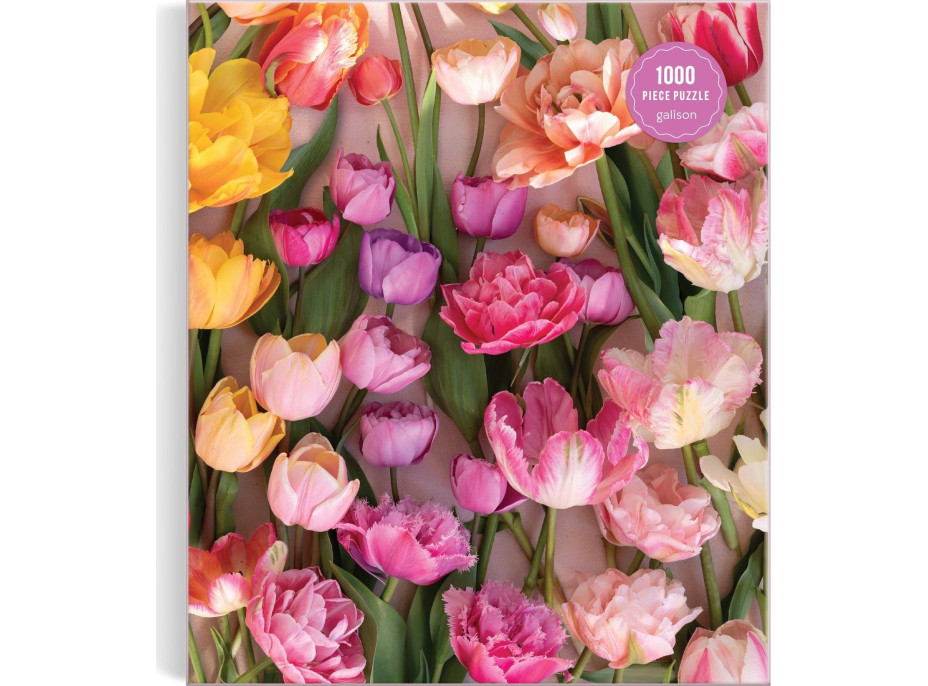 GALISON Puzzle Pomíjívé tulipány 1000 dílků