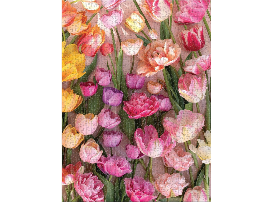 GALISON Puzzle Pomíjívé tulipány 1000 dílků