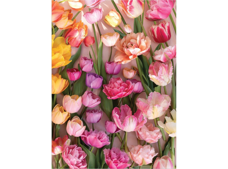 GALISON Puzzle Pomíjívé tulipány 1000 dílků