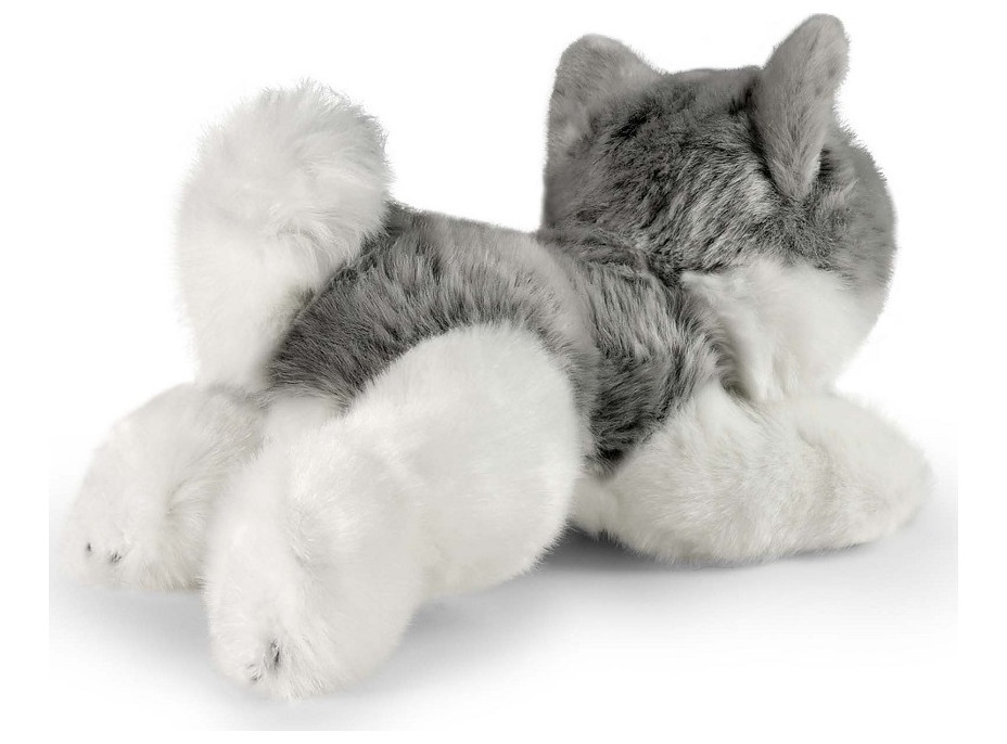 Rappa Plyšový pes husky ležící 20 cm ECO-FRIENDLY