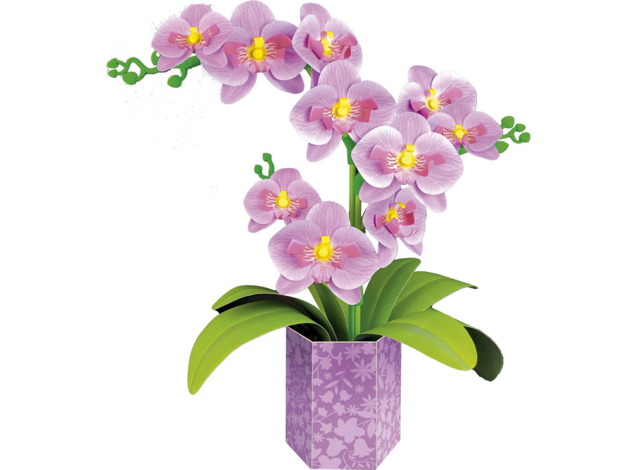 EDUCA 3D puzzle Floral Art - Orchidej