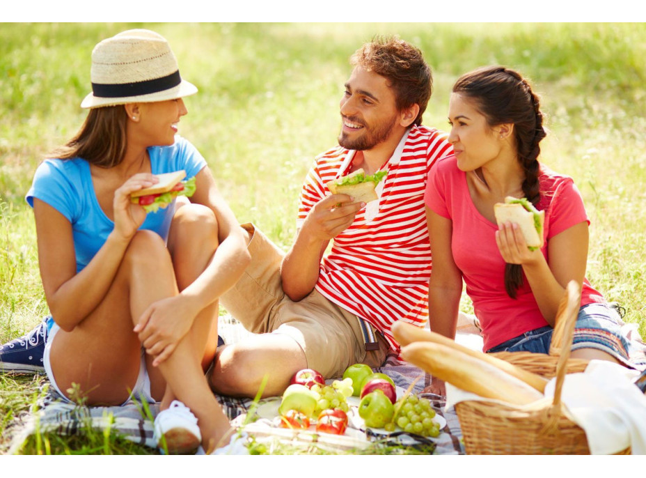 Pikniková deka 130x150 cm - Jungle