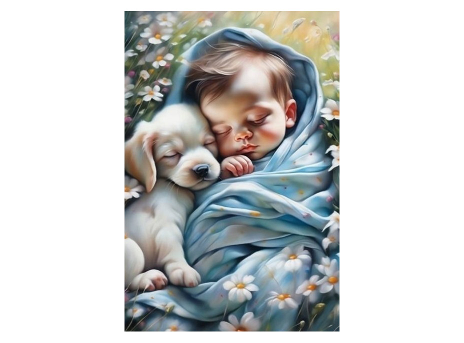 NORIMPEX Diamantové malování Miminko se štěňátkem 30x40cm