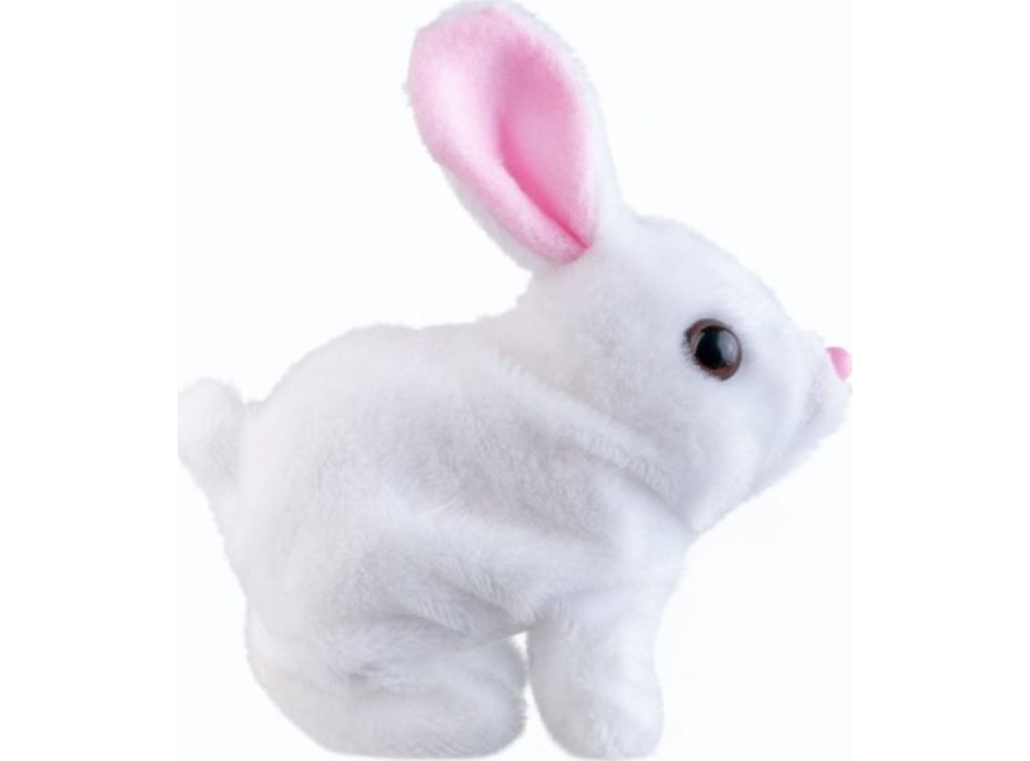 TEDDIES Králík Ben