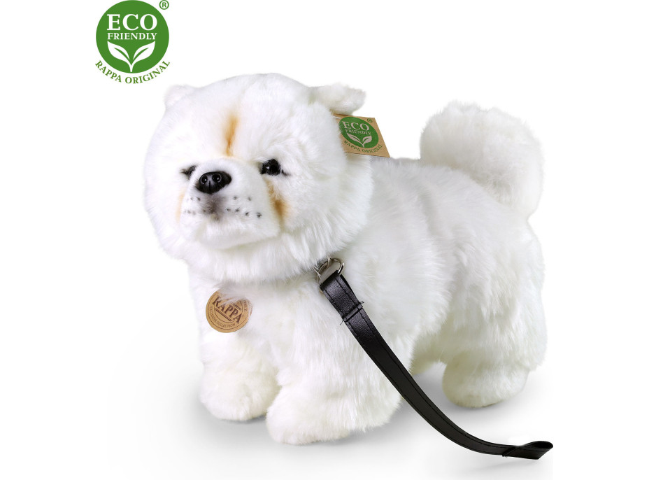 Rappa Plyšový pes Čau-čau 30 cm ECO-FRIENDLY