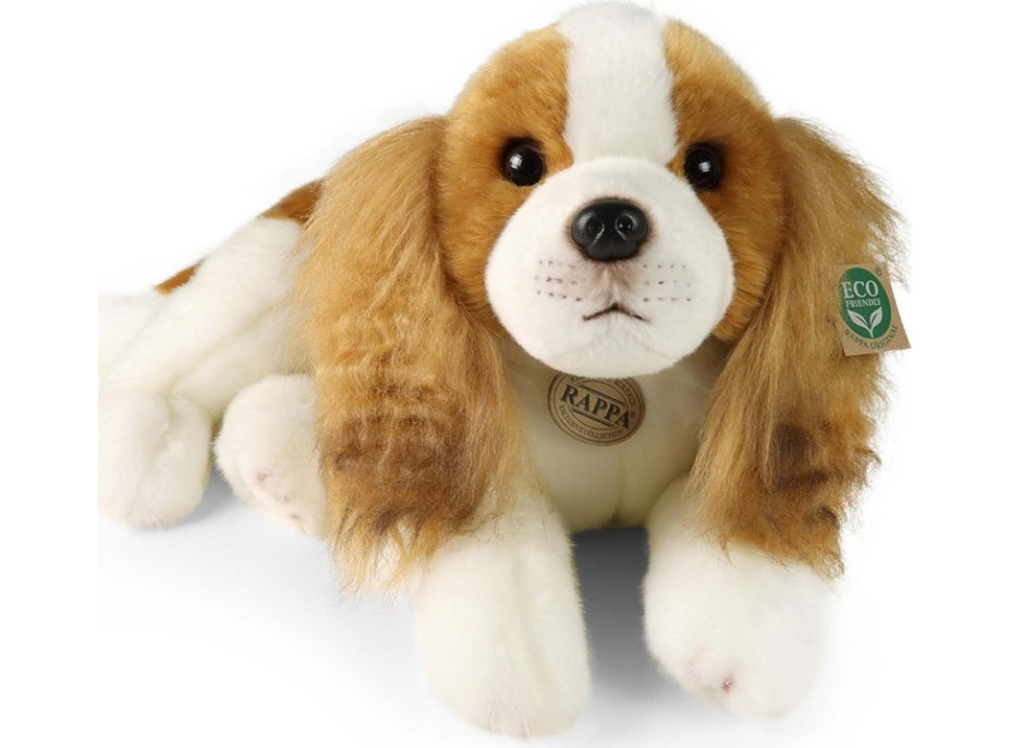Rappa Plyšový pes kavalír King Charles španěl 40 cm ECO-FRIENDLY