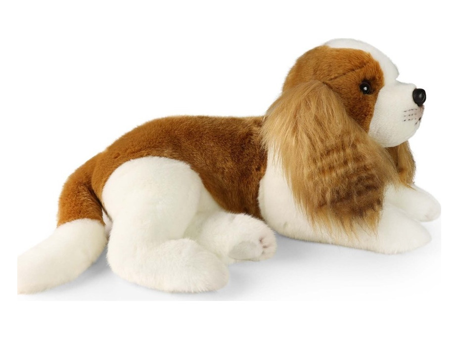 Rappa Plyšový pes kavalír King Charles španěl 40 cm ECO-FRIENDLY