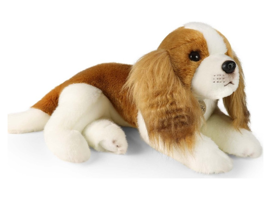 Rappa Plyšový pes kavalír King Charles španěl 40 cm ECO-FRIENDLY