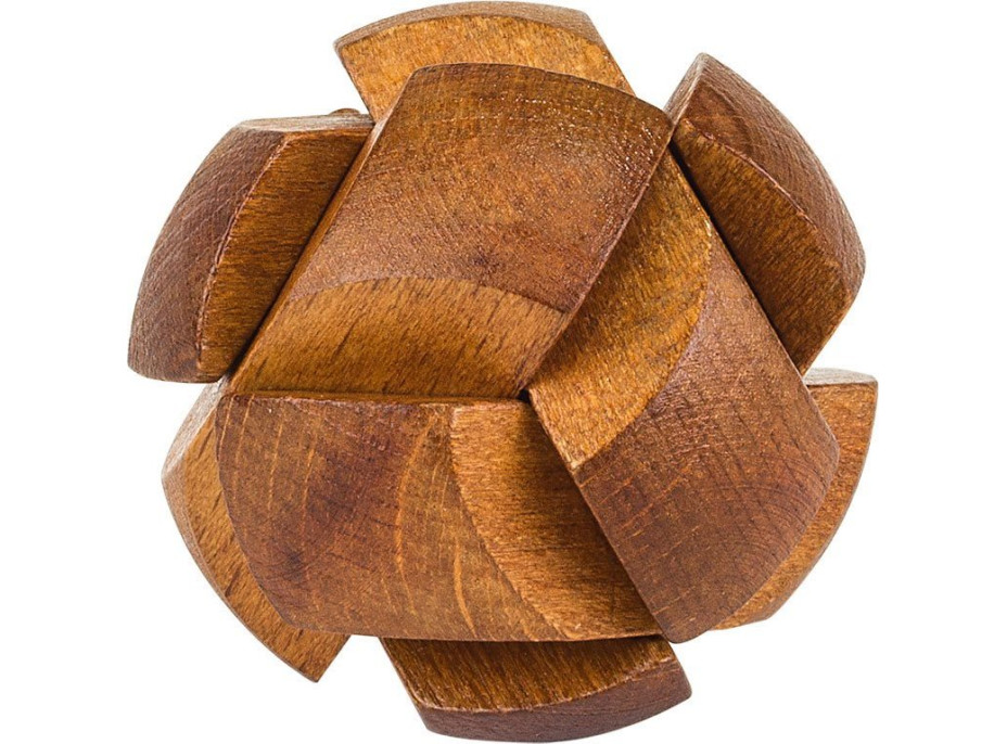 PROFESSOR PUZZLE Great Minds: Slavní muži 8v1