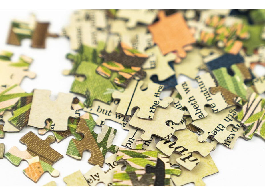 PROFESSOR PUZZLE Puzzle Pýcha a předsudek 252 dílků