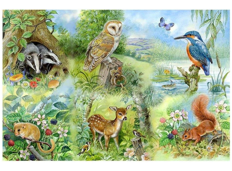 HOP Puzzle Studium přírody BIG 250 dílků