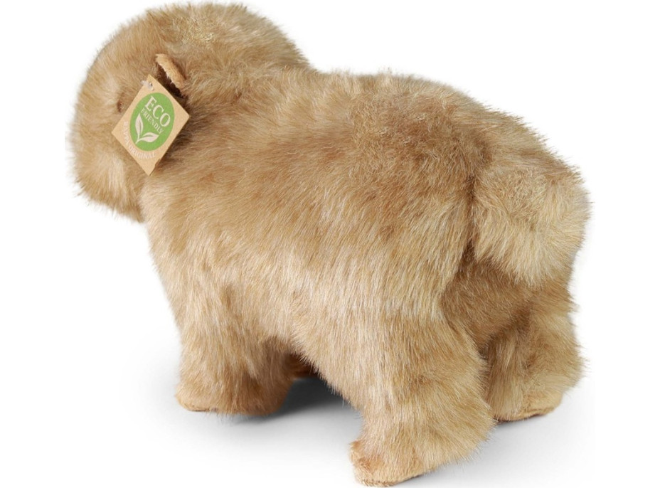 Rappa Plyšová kapybara 30 cm ECO-FRIENDLY