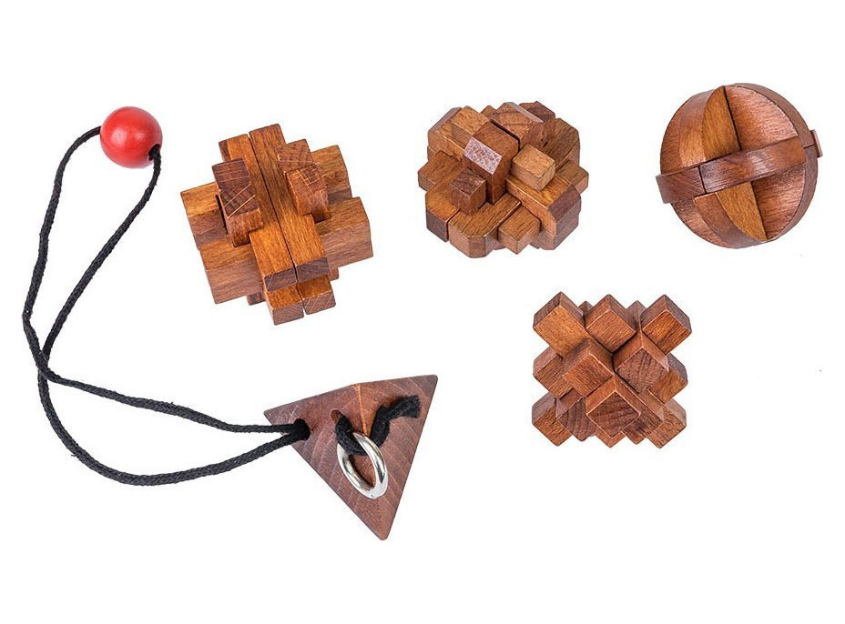 PROFESSOR PUZZLE Great Minds: Slavné ženy 5v1
