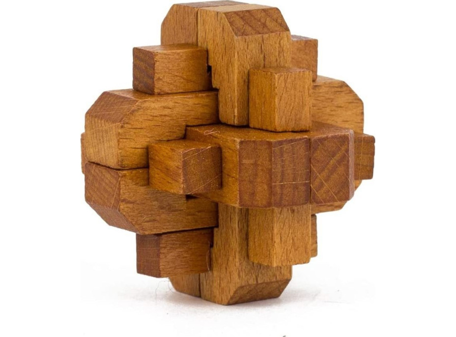 PROFESSOR PUZZLE Great Minds: Slavné ženy 5v1