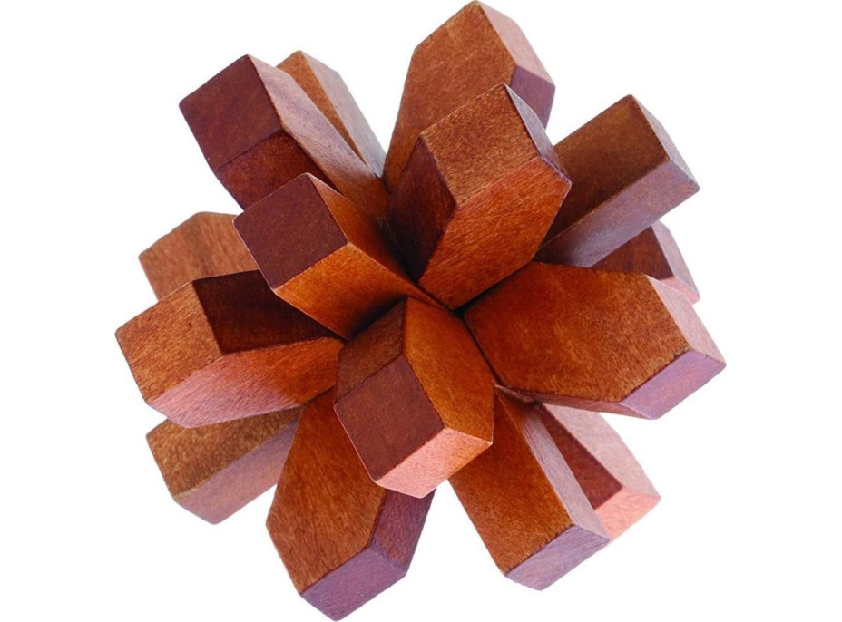 PROFESSOR PUZZLE Great Minds: Slavní muži 3v1