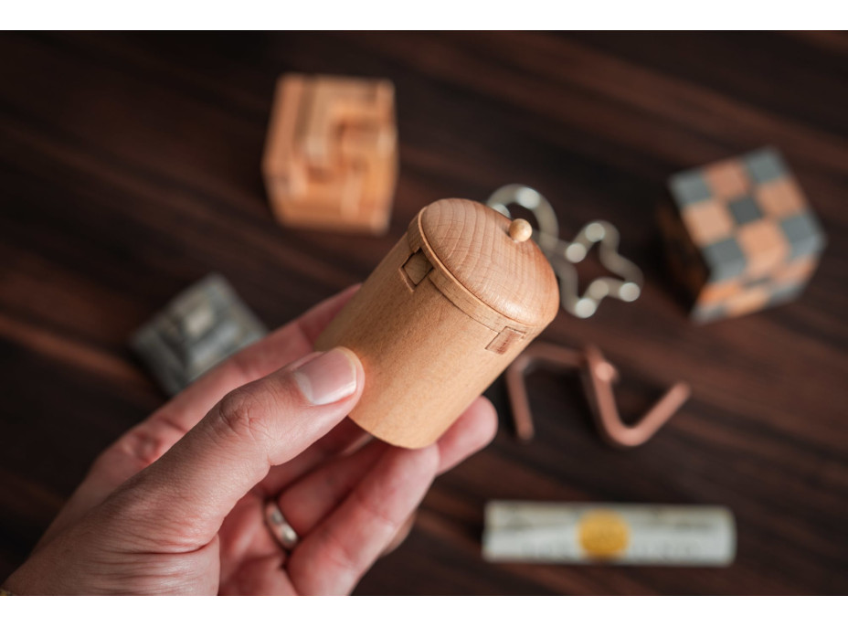 PROFESSOR PUZZLE LOST&FOUND: Hlavolam Sedm divů světa 7v1