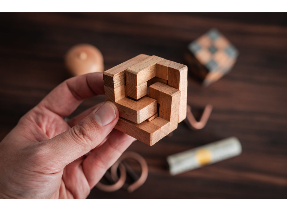 PROFESSOR PUZZLE LOST&FOUND: Hlavolam Sedm divů světa 7v1