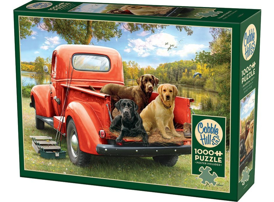 COBBLE HILL Puzzle Kamarádi na rybách 1000 dílků