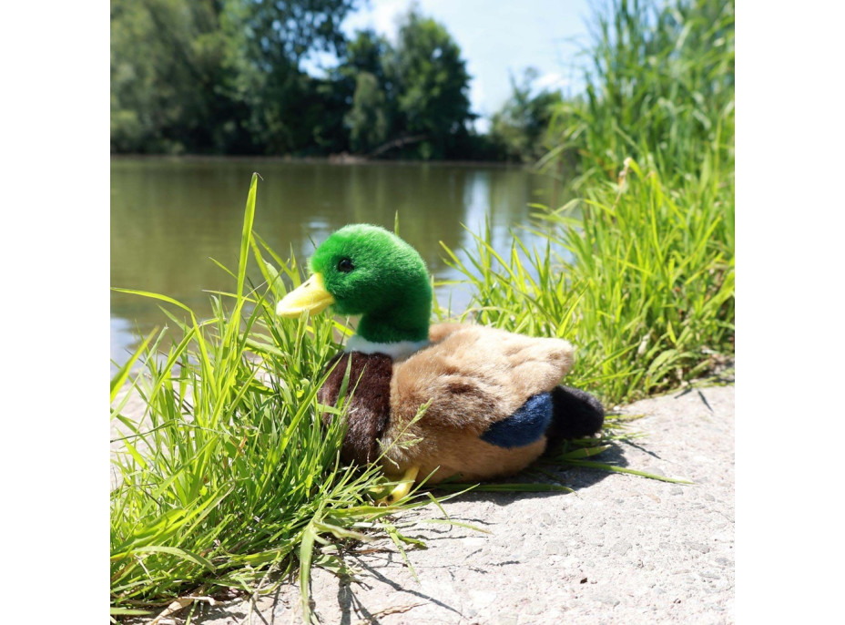 Rappa Plyšová kachna 20 cm ECO-FRIENDLY