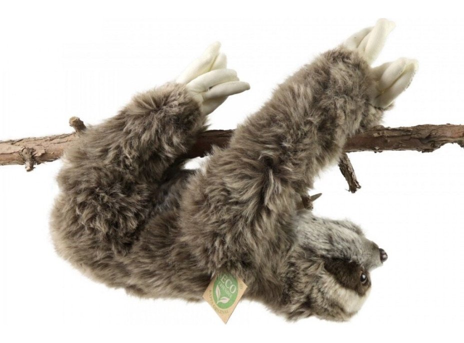Rappa Plyšový lenochod 30 cm ECO-FRIENDLY