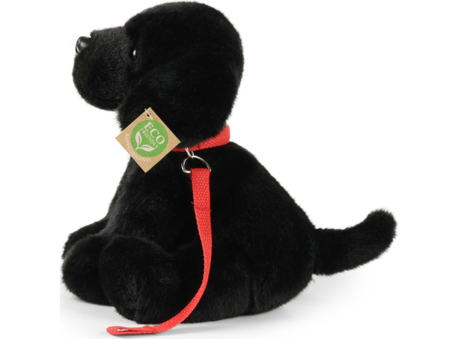 Rappa Plyšový pes labrador černý s vodítkem 28 cm ECO-FRIENDLY