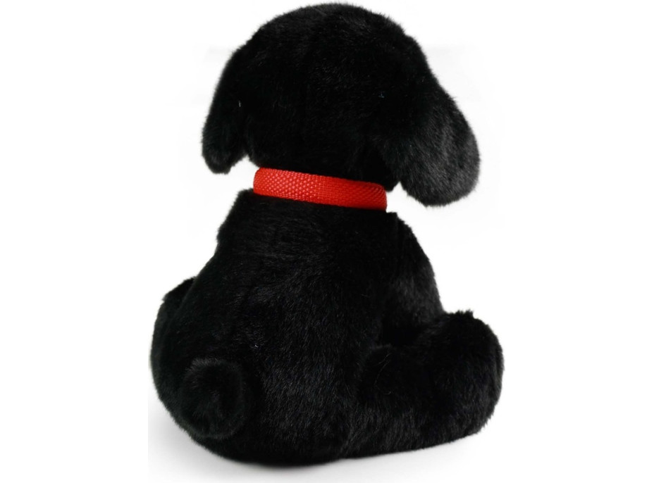 Rappa Plyšový pes labrador černý s vodítkem 28 cm ECO-FRIENDLY