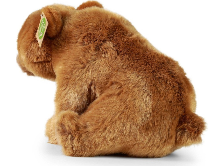 Rappa Plyšový medvěd grizzly sedící 30 cm ECO-FRIENDLY