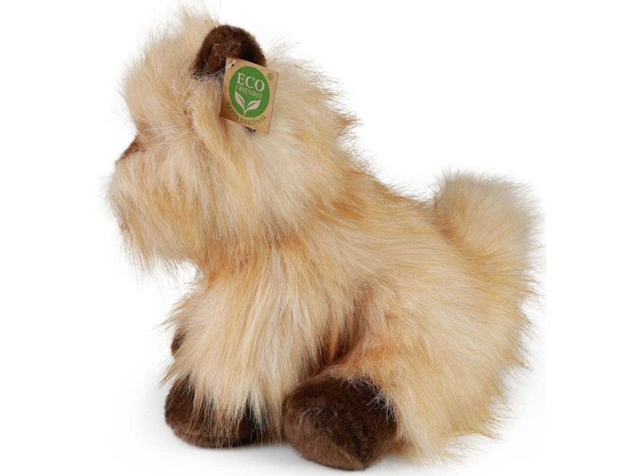 Rappa Plyšový pes cairnteriér 30 cm ECO-FRIENDLY