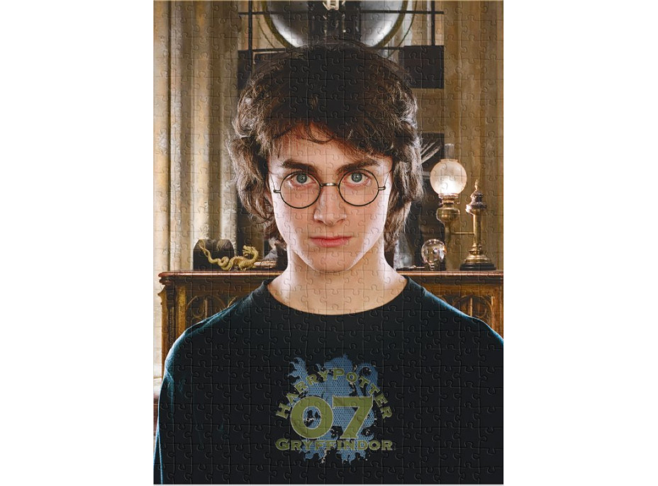 DODO Puzzle Harry Potter 450 dílků