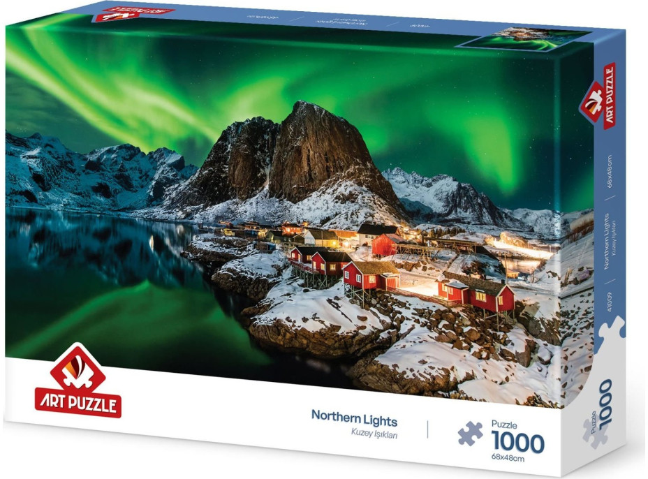 ART PUZZLE Puzzle Severní světla 1000 dílků