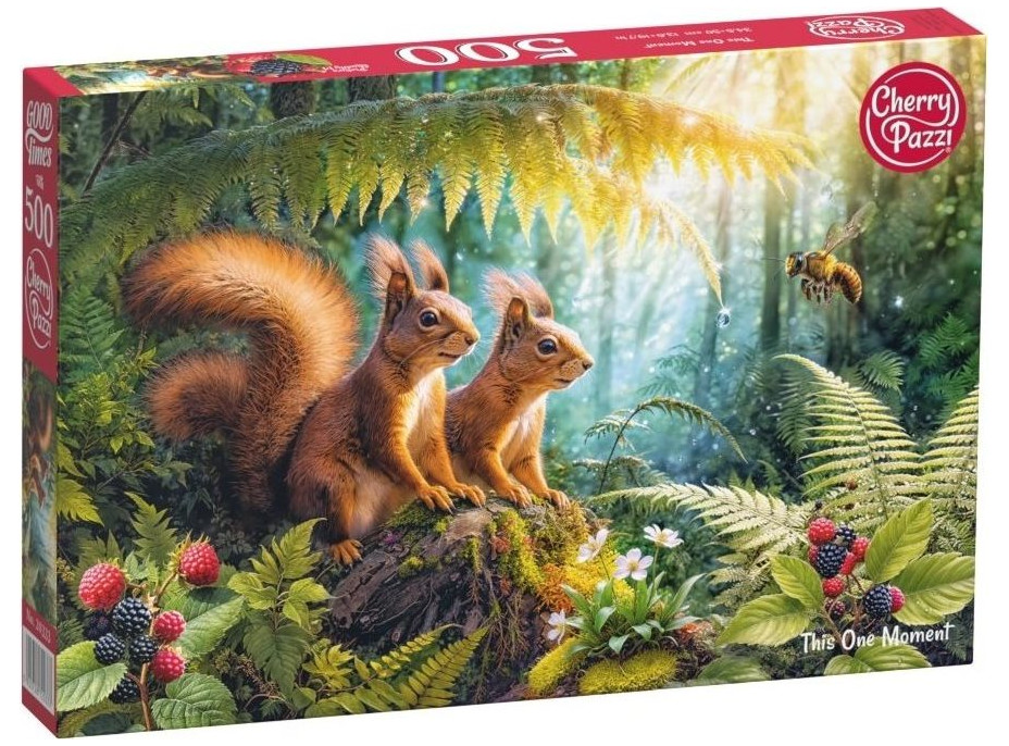 CHERRY PAZZI Puzzle Tento jeden okamžik 500 dílků