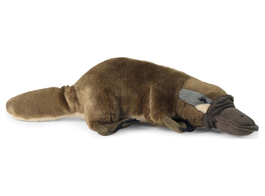 Rappa Plyšový ptakopysk 30 cm ECO-FRIENDLY
