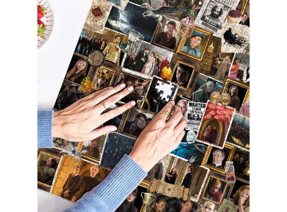 DODO Puzzle Harry Potter: Zajímavé momenty 1000 dílků