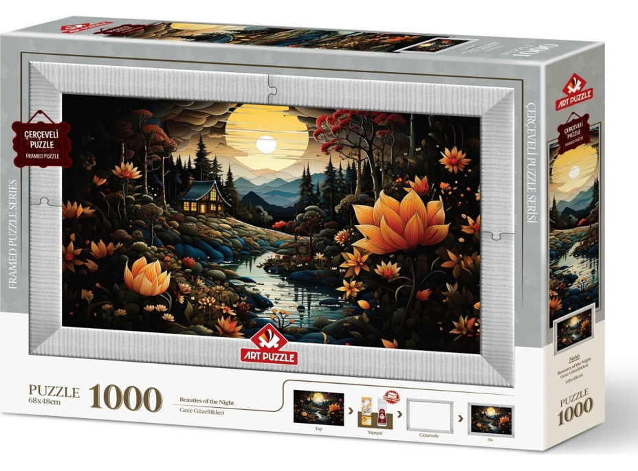 ART PUZZLE Puzzle s rámem a lepidlem 3v1 Noční krásky 1000 dílků