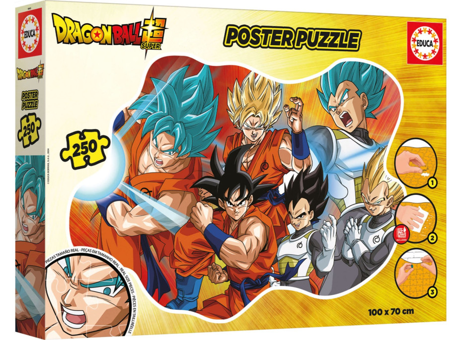 EDUCA Poster puzzle Dragon Ball 250 dílků