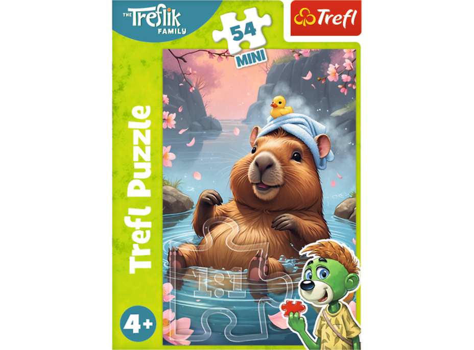 Displej Puzzle Treflíci 54 dílků (40 ks)