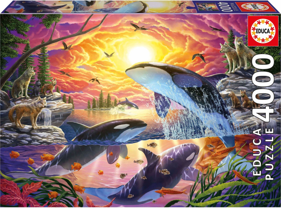 EDUCA Puzzle Kosatky a vlci 4000 dílků