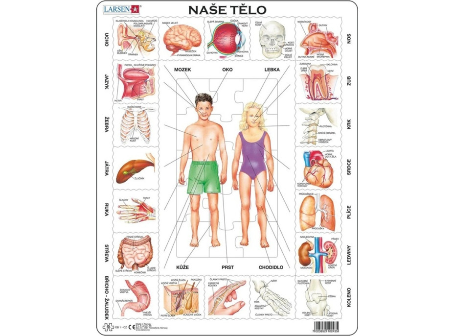 Larsen Vzdělávací puzzle Naše tělo 35 dílků