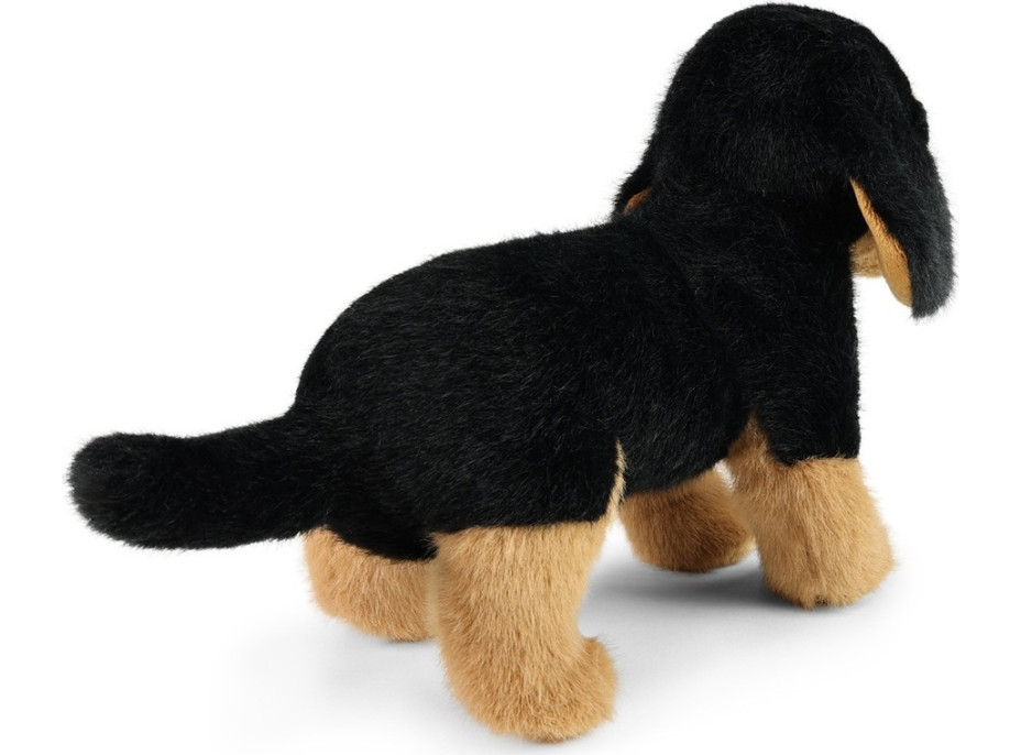 Rappa Plyšový pes jezevčík 23 cm SOFT COLLECTION, ECO-FRIENDLY