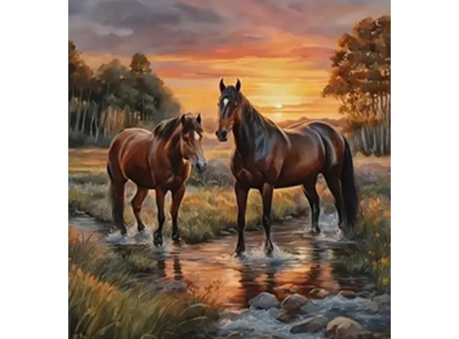 NORIMPEX Diamantové malování Koně v řece 30x40cm