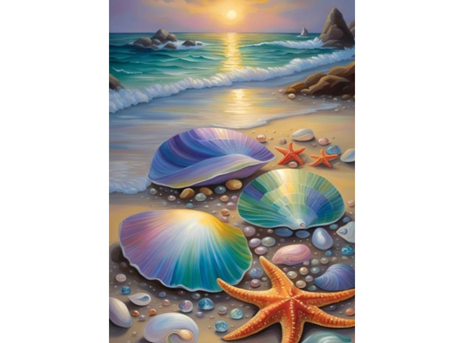 NORIMPEX Diamantové malování Škeble a hvězdice 30x40cm