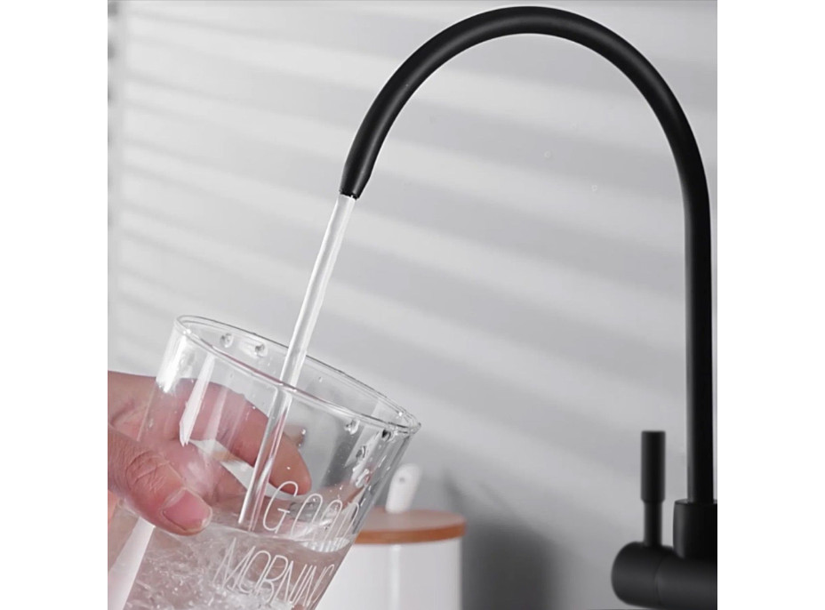 Kuchyňská baterie Rea ECO FRESH - černá matná