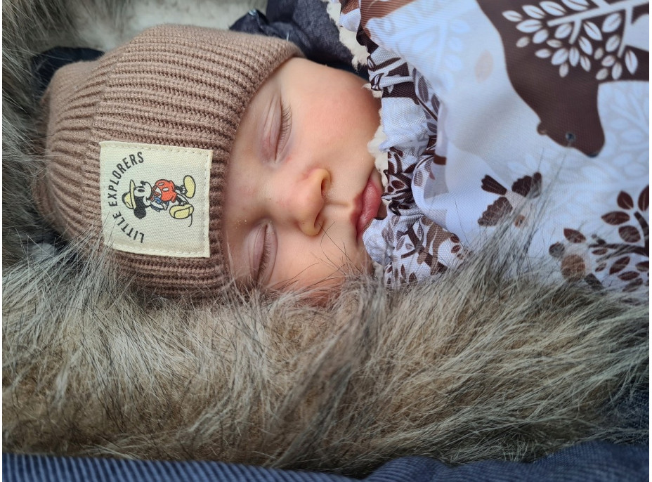 Dětský fusak do kočárku BABYMAM Premium - Zimní les/beránek ecru
