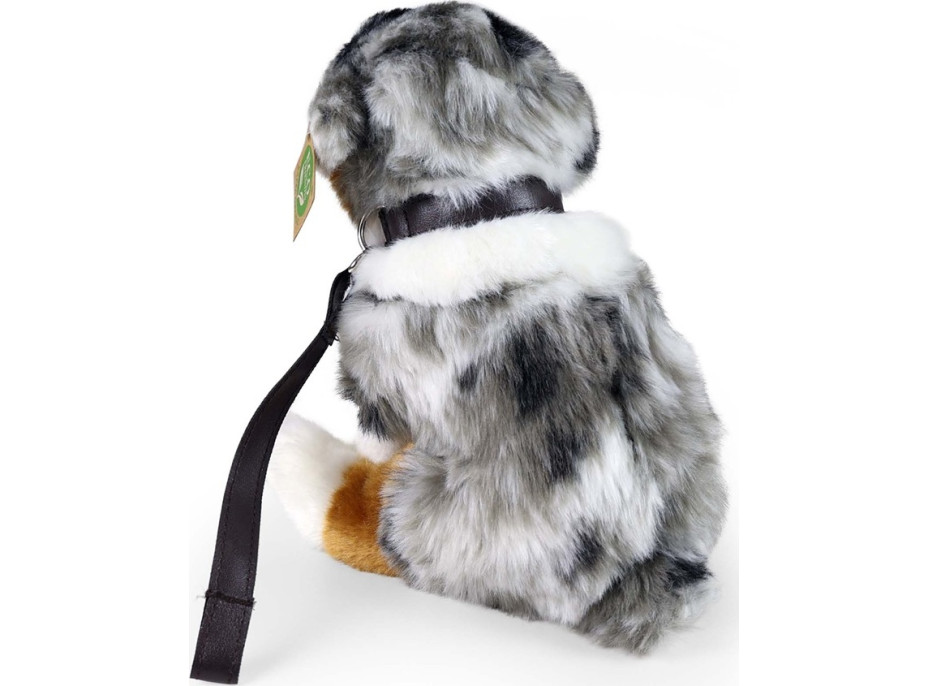 Rappa Plyšový pes australský ovčák sedící 27 cm ECO-FRIENDLY