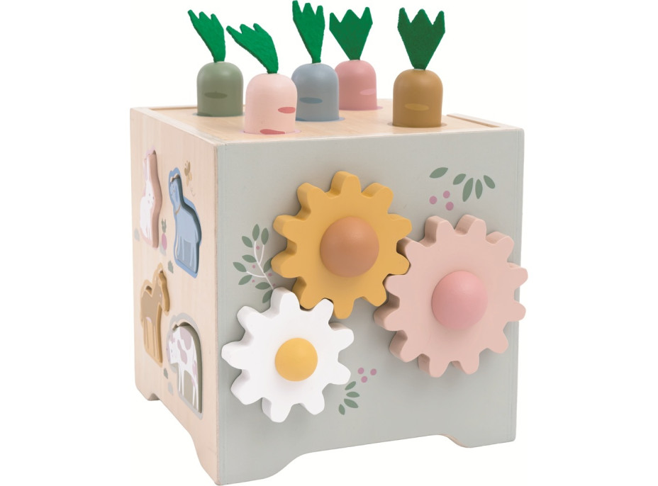 2Kids Toys Multifunkční motorická kostka