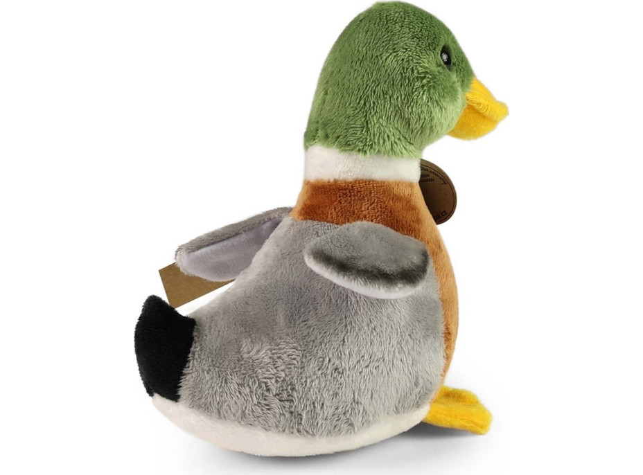 Rappa Plyšová kachna divoká se zvukem 22 cm ECO-FRIENDLY