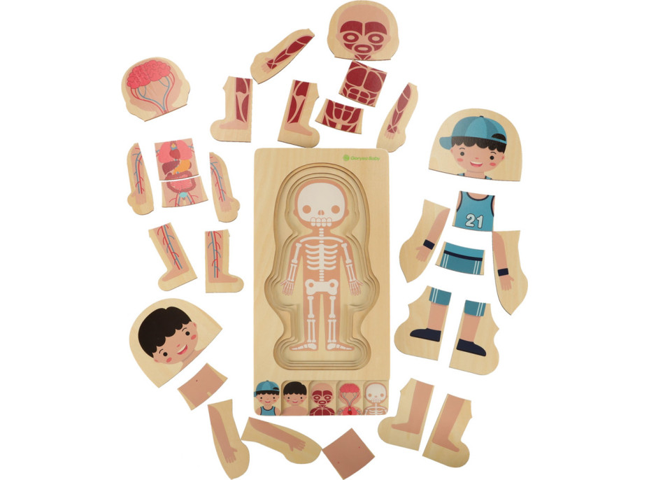 Dřevěné vrstvené Montessori puzzle Tělo - chlapec