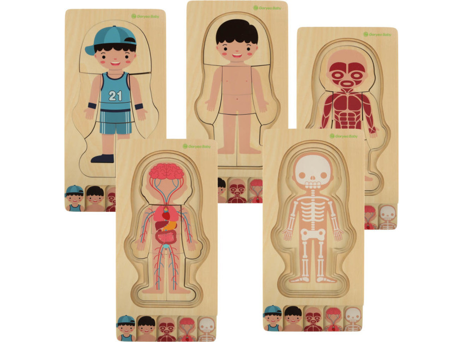 Dřevěné vrstvené Montessori puzzle Tělo - chlapec
